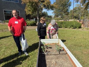 St. Francis Vegetable Garden 2