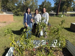 St. Francis Vegetable Garden 3