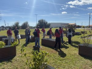 St. Francis Vegetable Garden 4